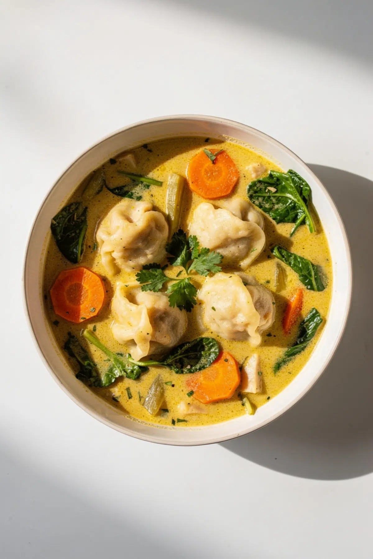 Cozy Coconut Curry Soup with Dumplings